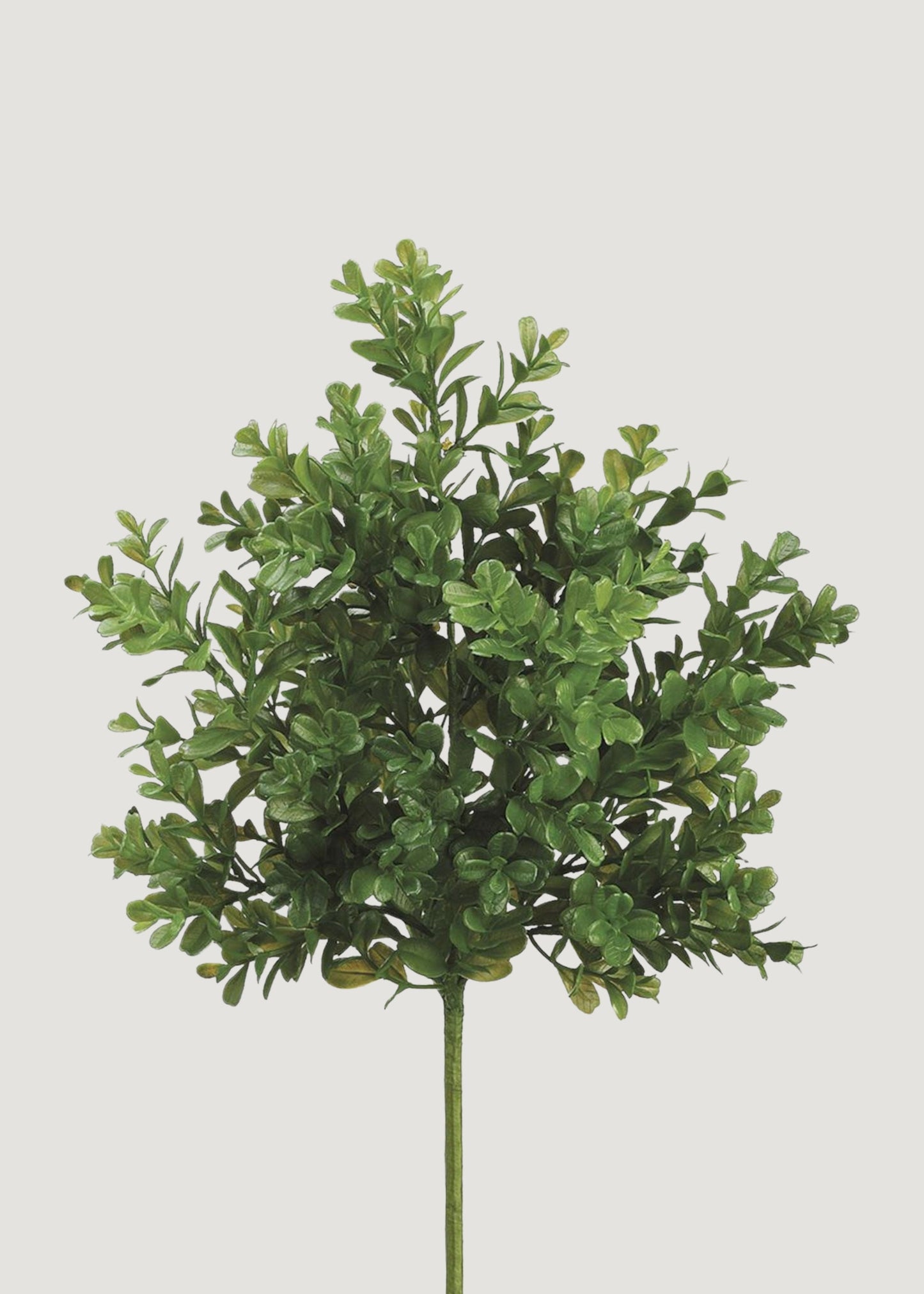 Artificial Plants Boxwood Bush - 15"