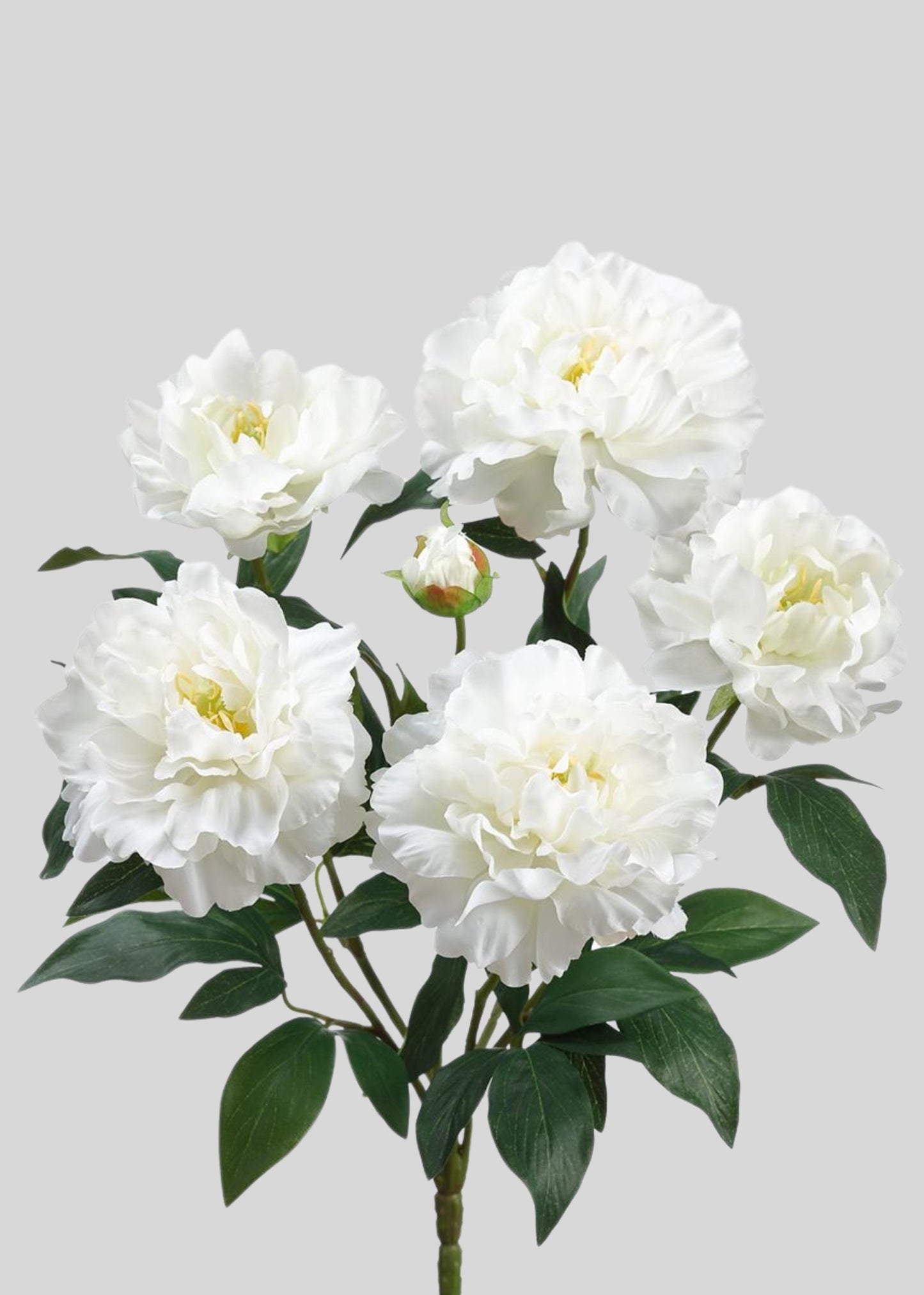 Artificial Peony Flower Bush in White - 18"