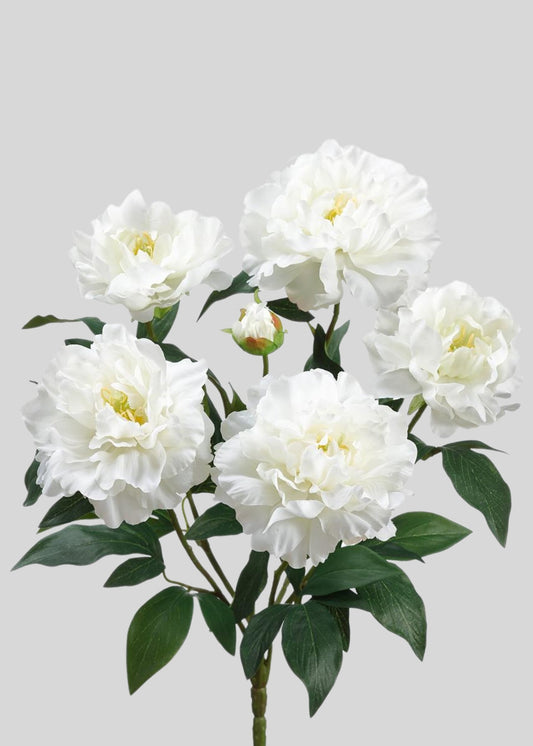 Artificial Peony Flower Bush in White - 18"
