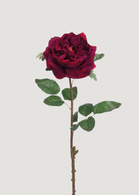 Artificial English Rose in Wine - 20"