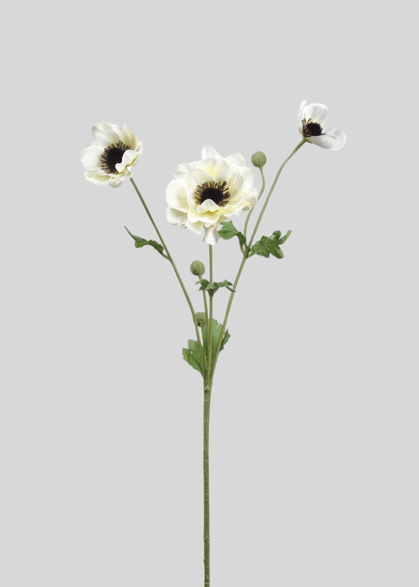 Cream White Fake Anemone Flowers - 26"