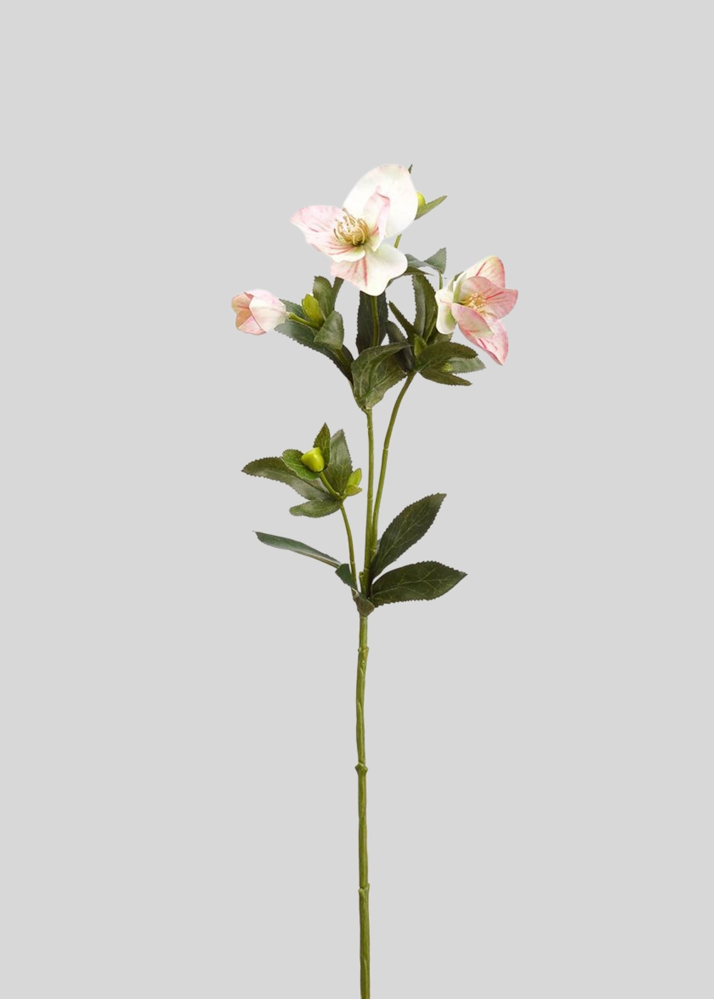 Pink Fake Blooming Hellebore Flower Spray - 25"