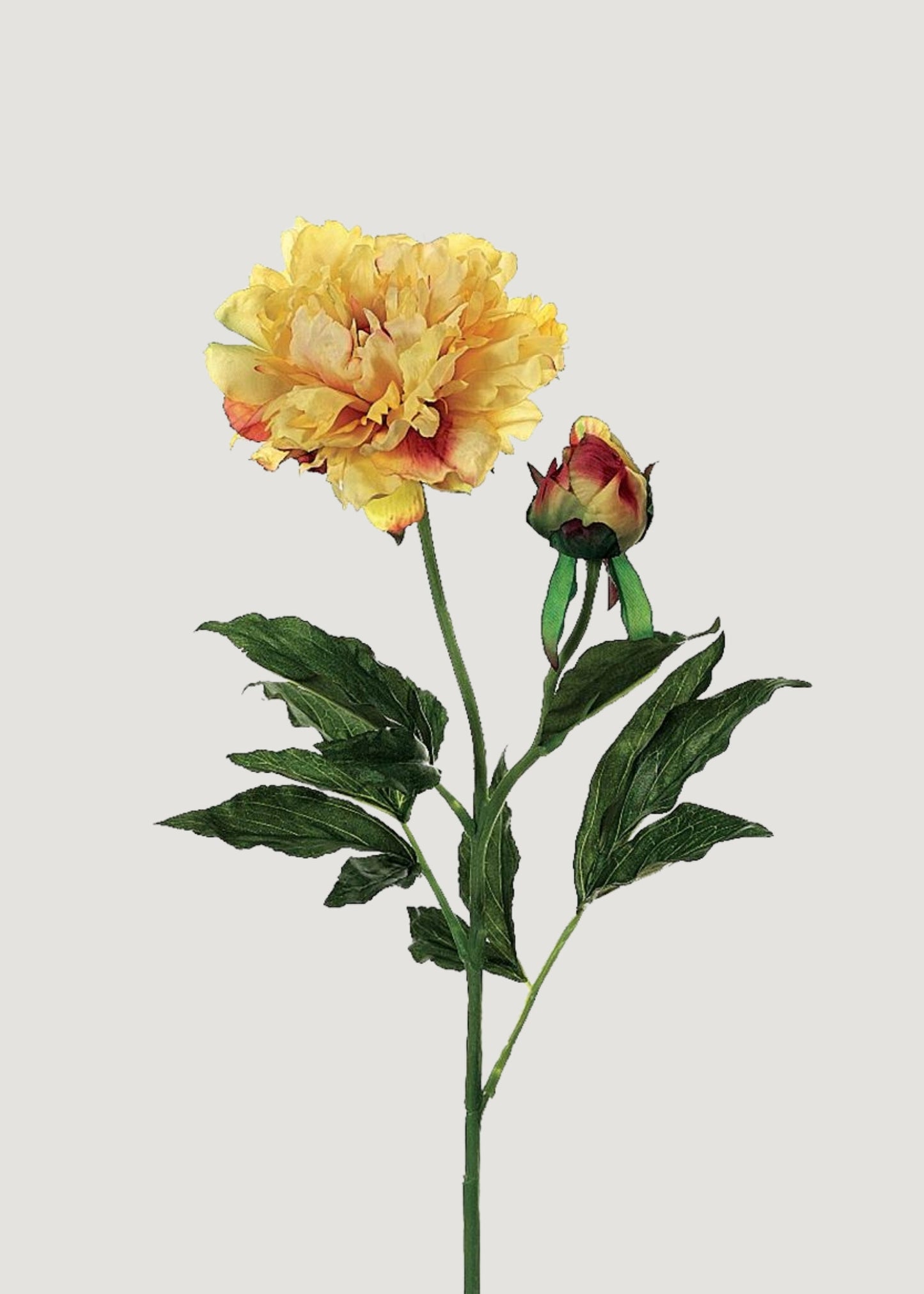 Fake Peony Flower in Golden Sunset - 28"