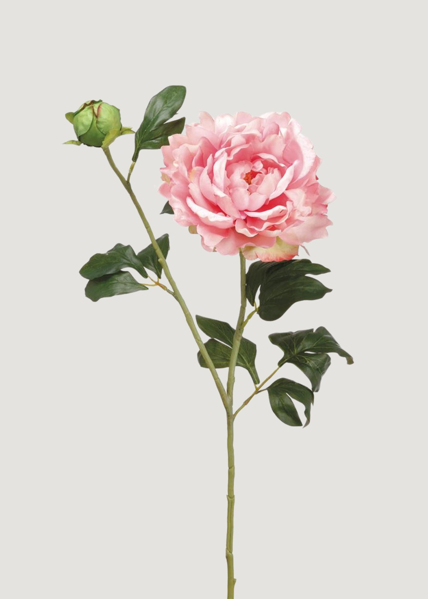 Fake Flower Peony in Pink - 31"