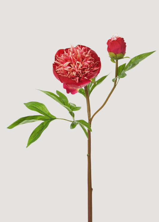 Red and Cream Fake Real Touch Peony with Bud - 26"