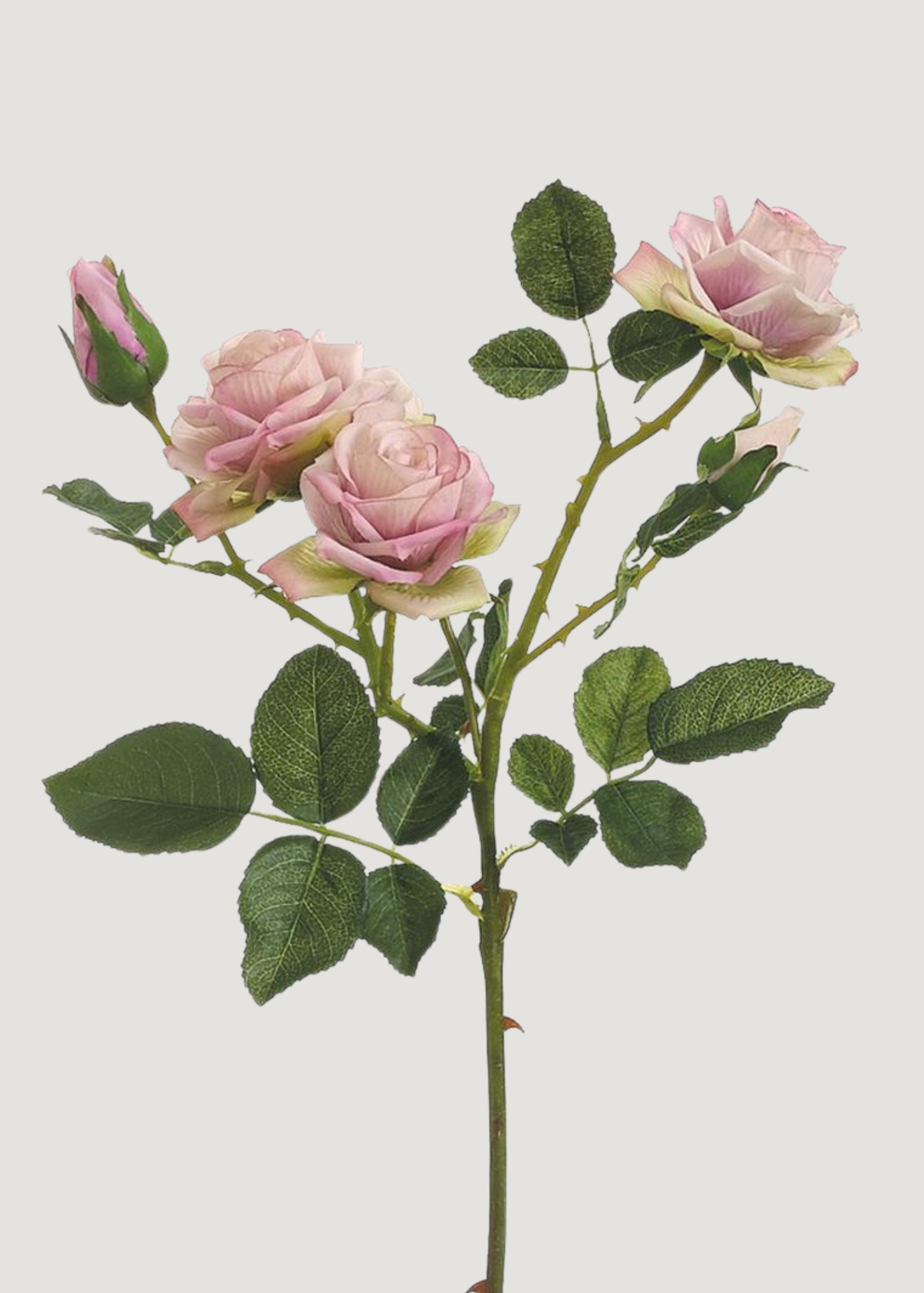 Artificial Roses Stem in Lavender - 22.5"