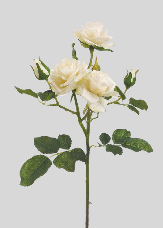 Cream Fake Roses Stem - 22.5"
