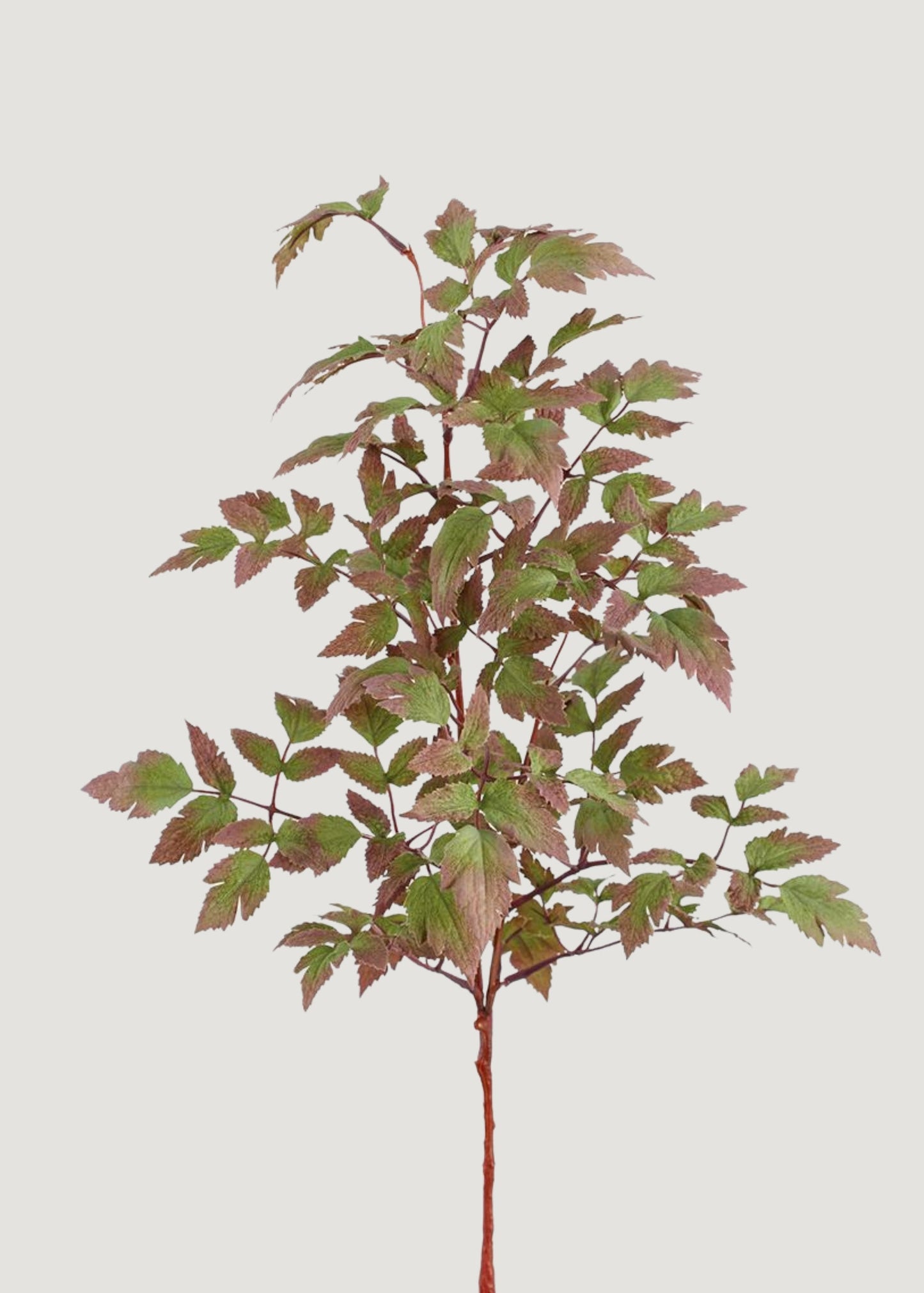 Purple and Green Fake Cimicifuga Leaf Branch - 30"