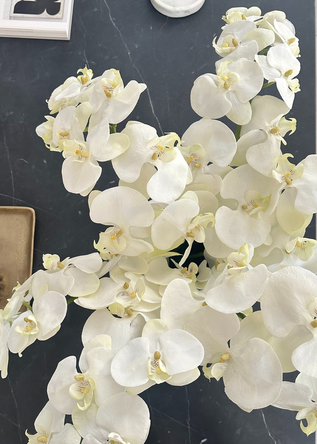 White Cream Artificial Phalaenopsis Orchids - 39"