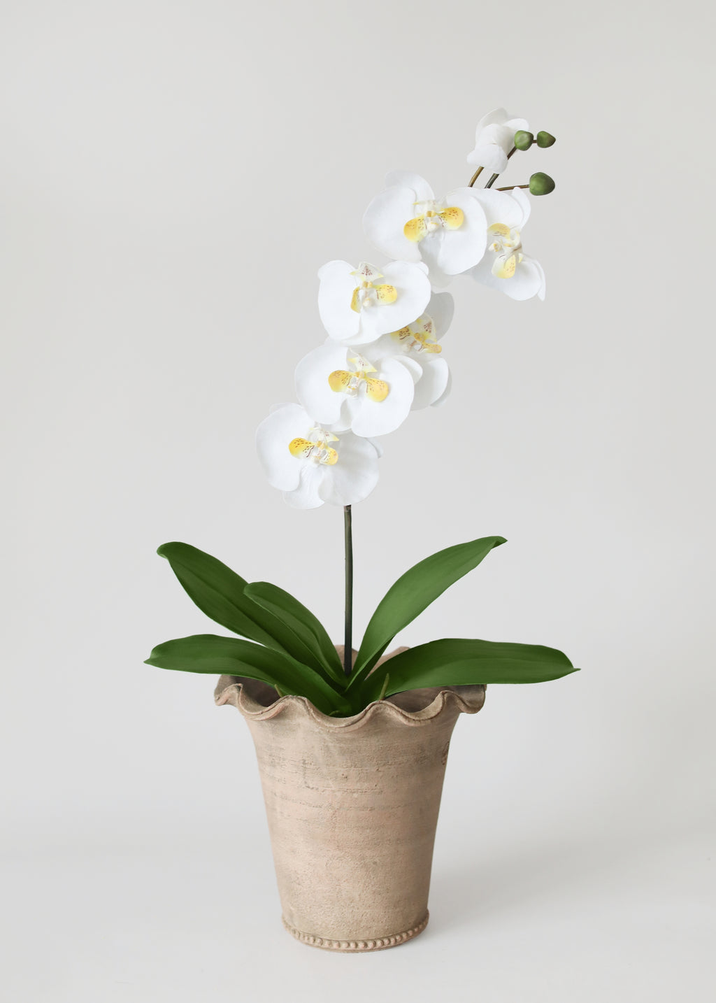 Artificial Phalaenopsis Orchid Leaf Plant - 15"
