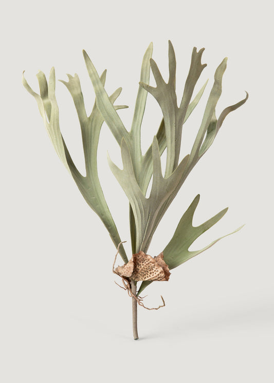 Fake Staghorn Plant - 24.5"