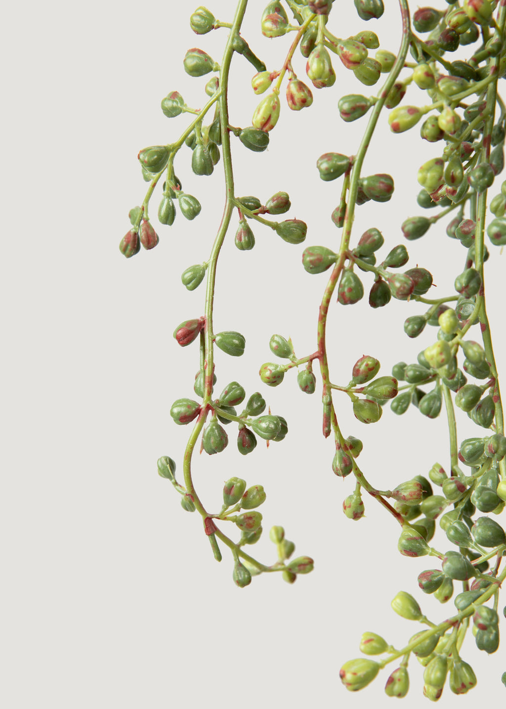 Hanging String of Pearls Fake Succulent Bush - 24"