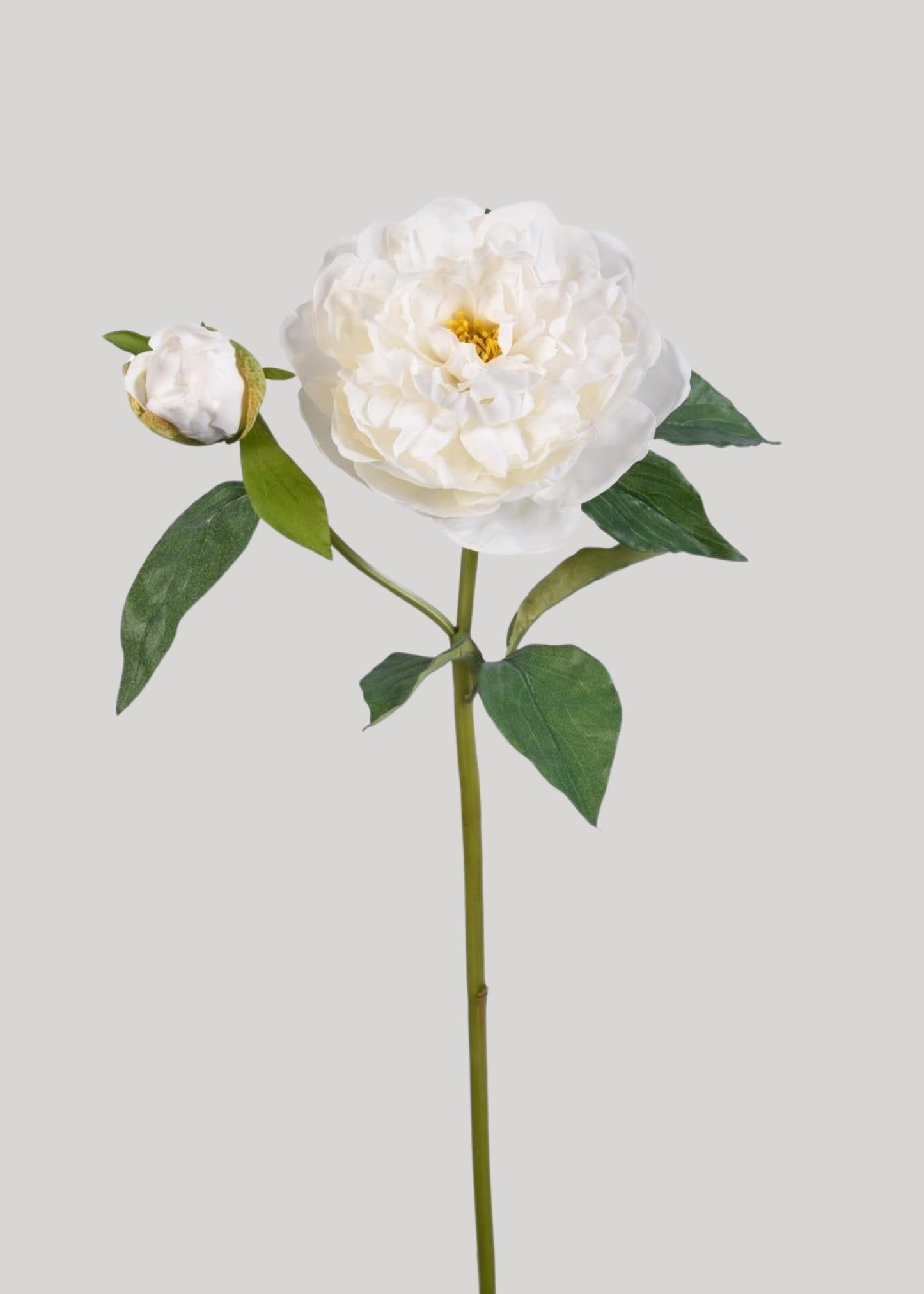 Natural Touch Peony Fake Flower in White - 35.5"