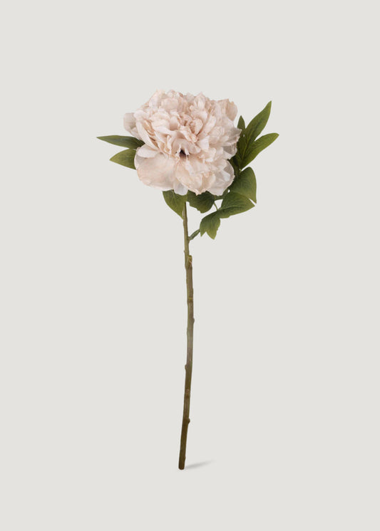 Abigail Ahern Beige Blush Artificial Peony Flower - 17.5"