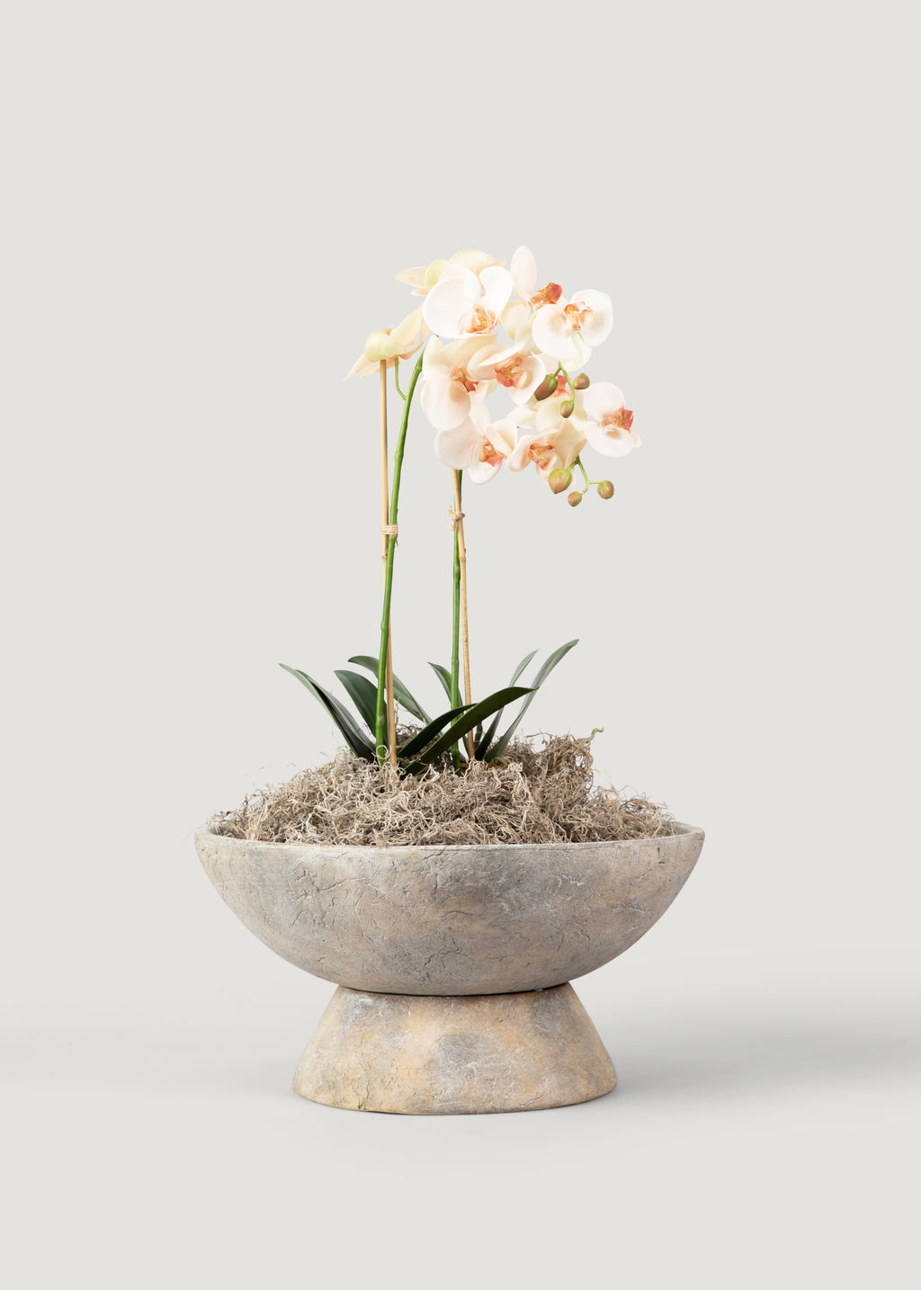 Faux Blush Phalaenopsis Orchid Drop-In Plant - 23"