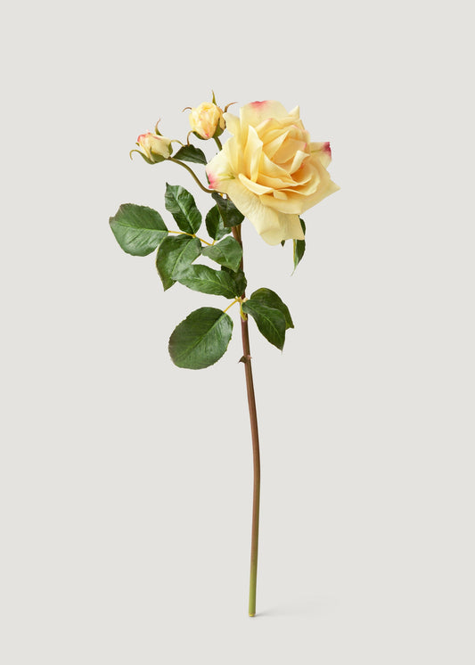Artificial Real Touch Juliet English Rose in Yellow - 22"