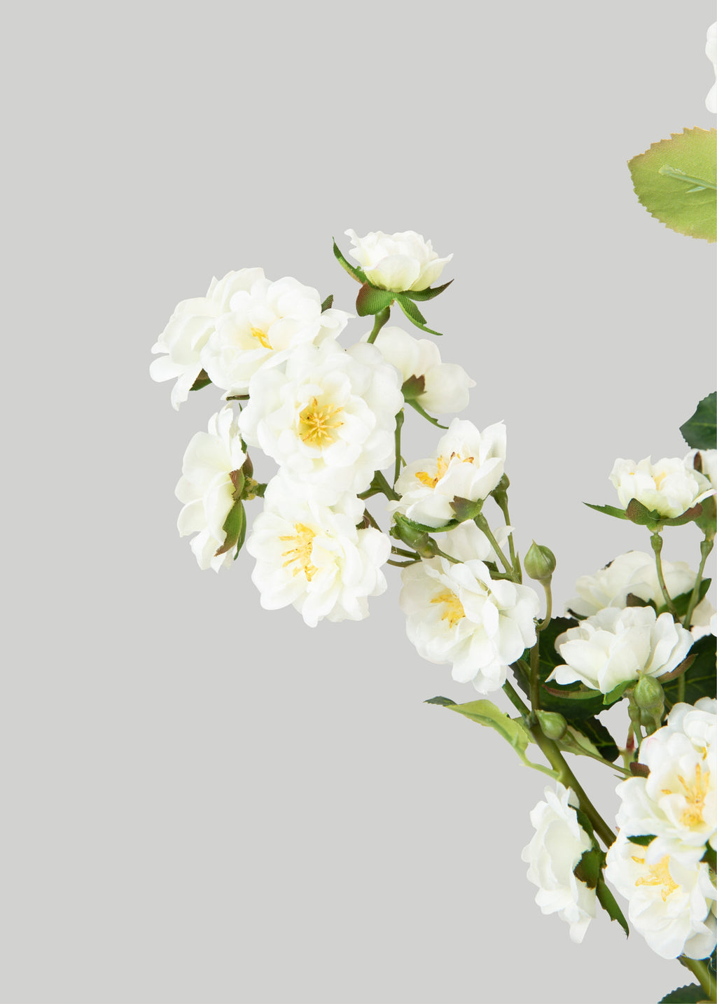 Climbing Fake Roses Branch in Cream White - 33"