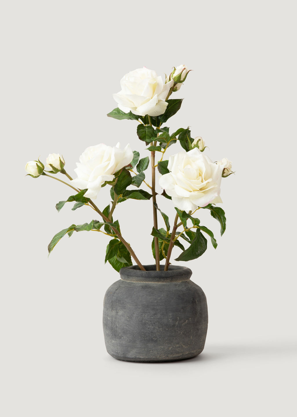 SAVE - Cream White Real Touch Juliet English Rose - 22"