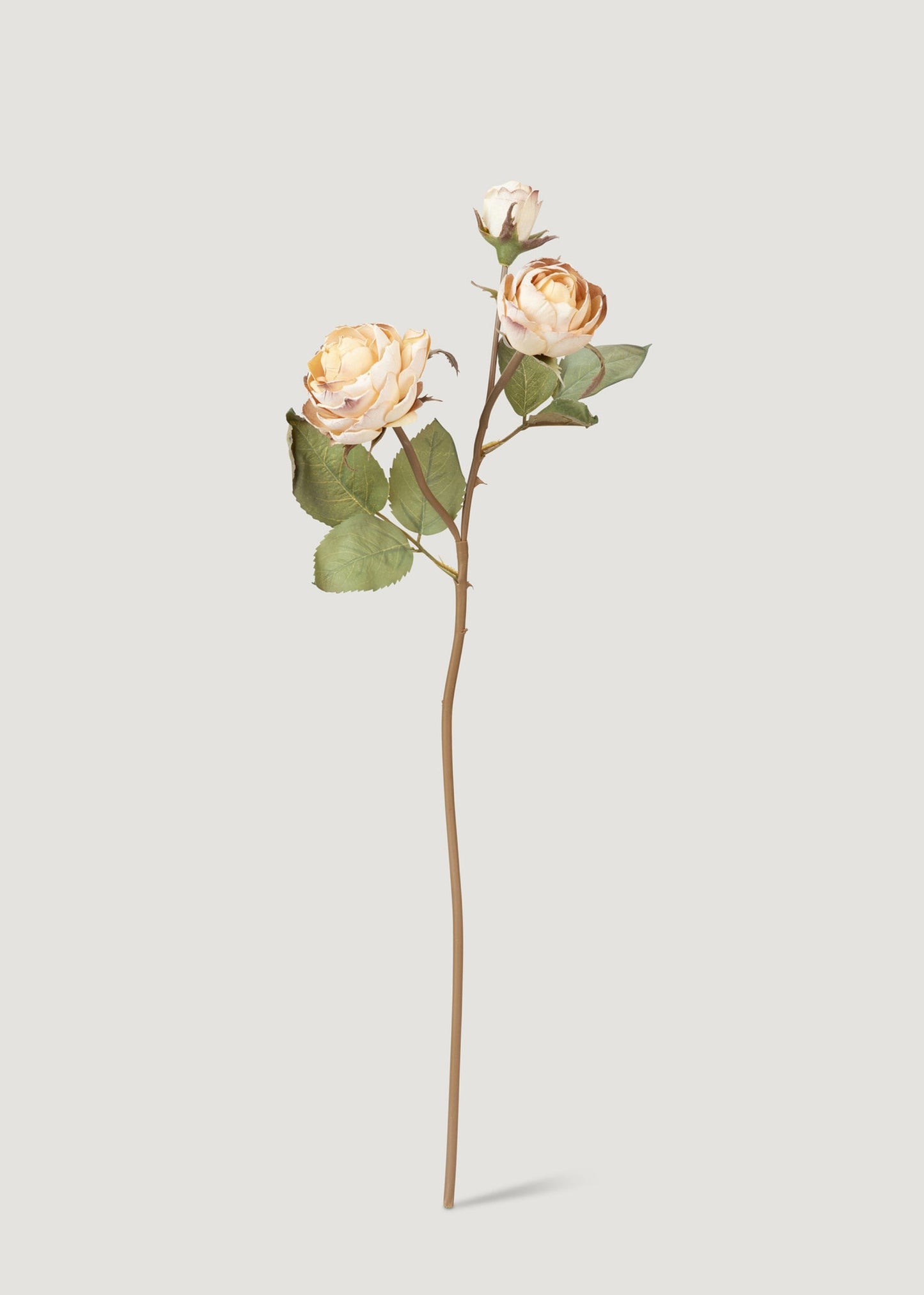 Dried Look Fake Roses in Beige - 21"