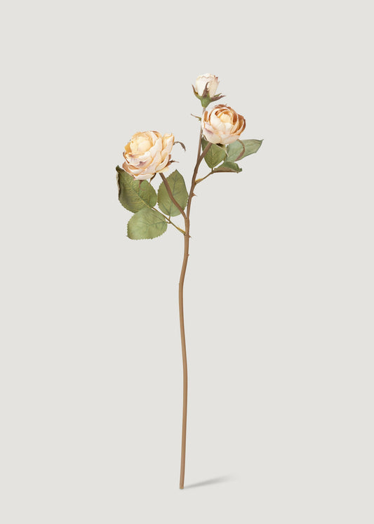 Dried Look Fake Roses in Beige - 21"
