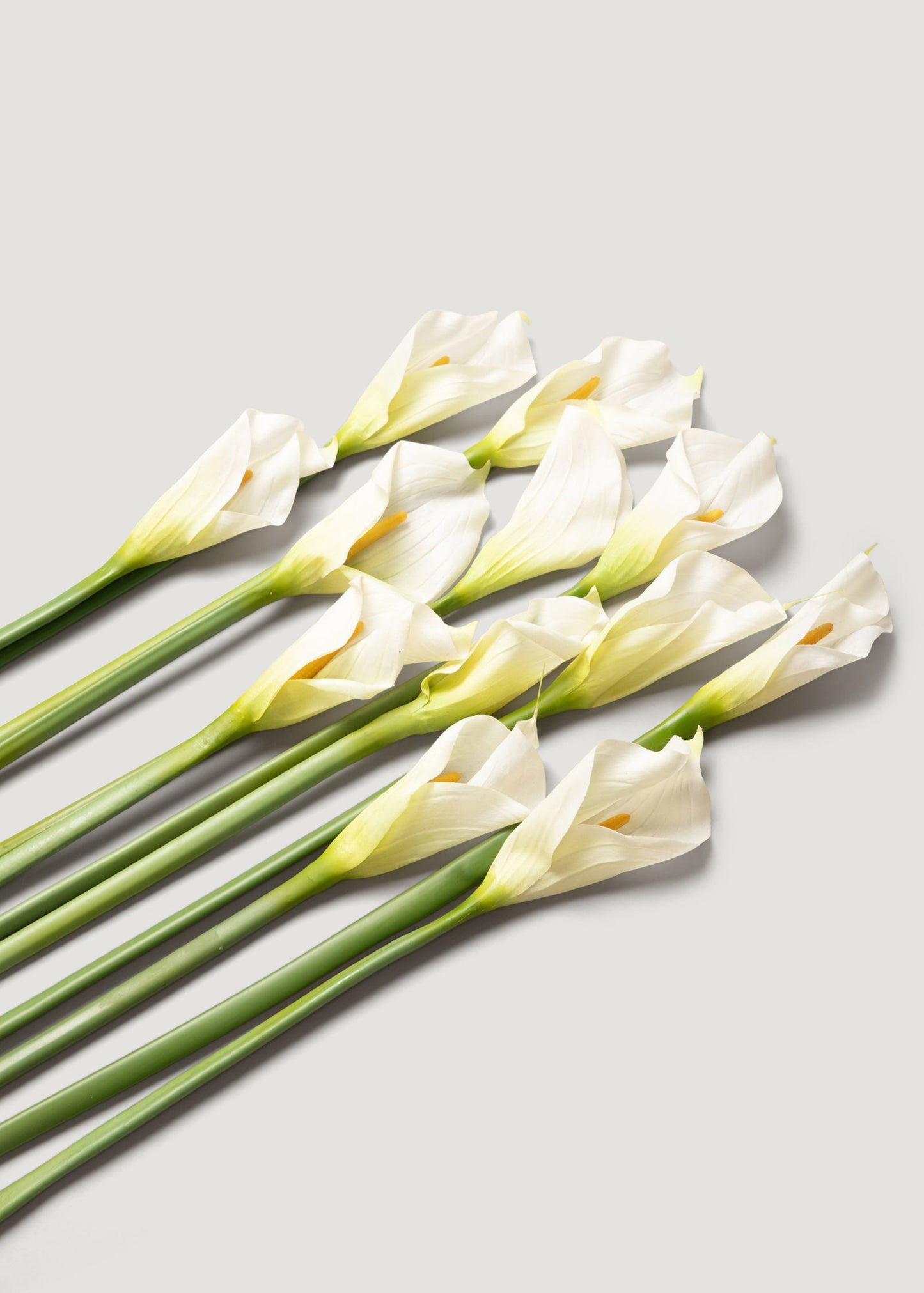 Case of 12 Artificial Calla Lily Stems in Cream 37"