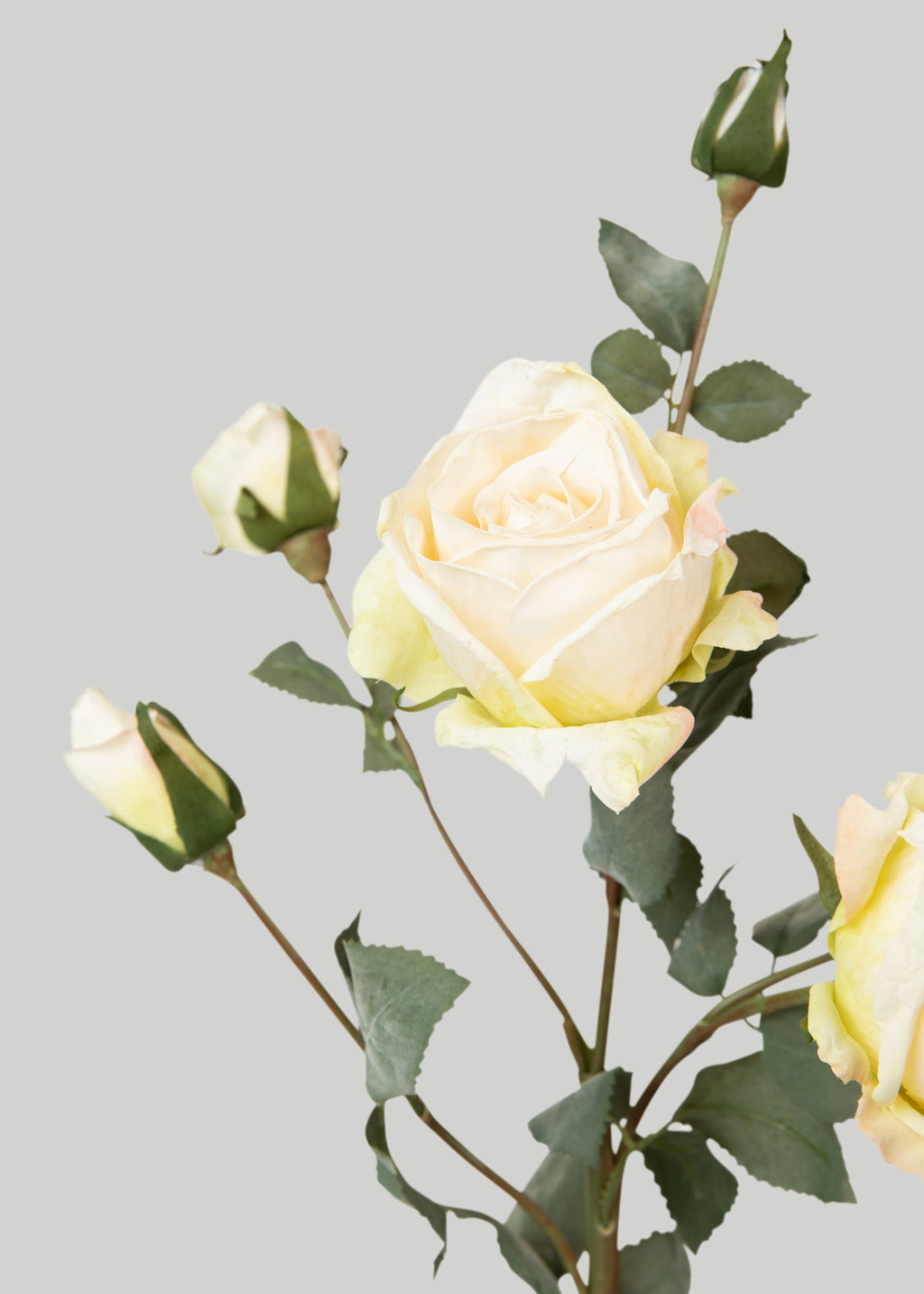Artificial Roses in Cream - 27.5"
