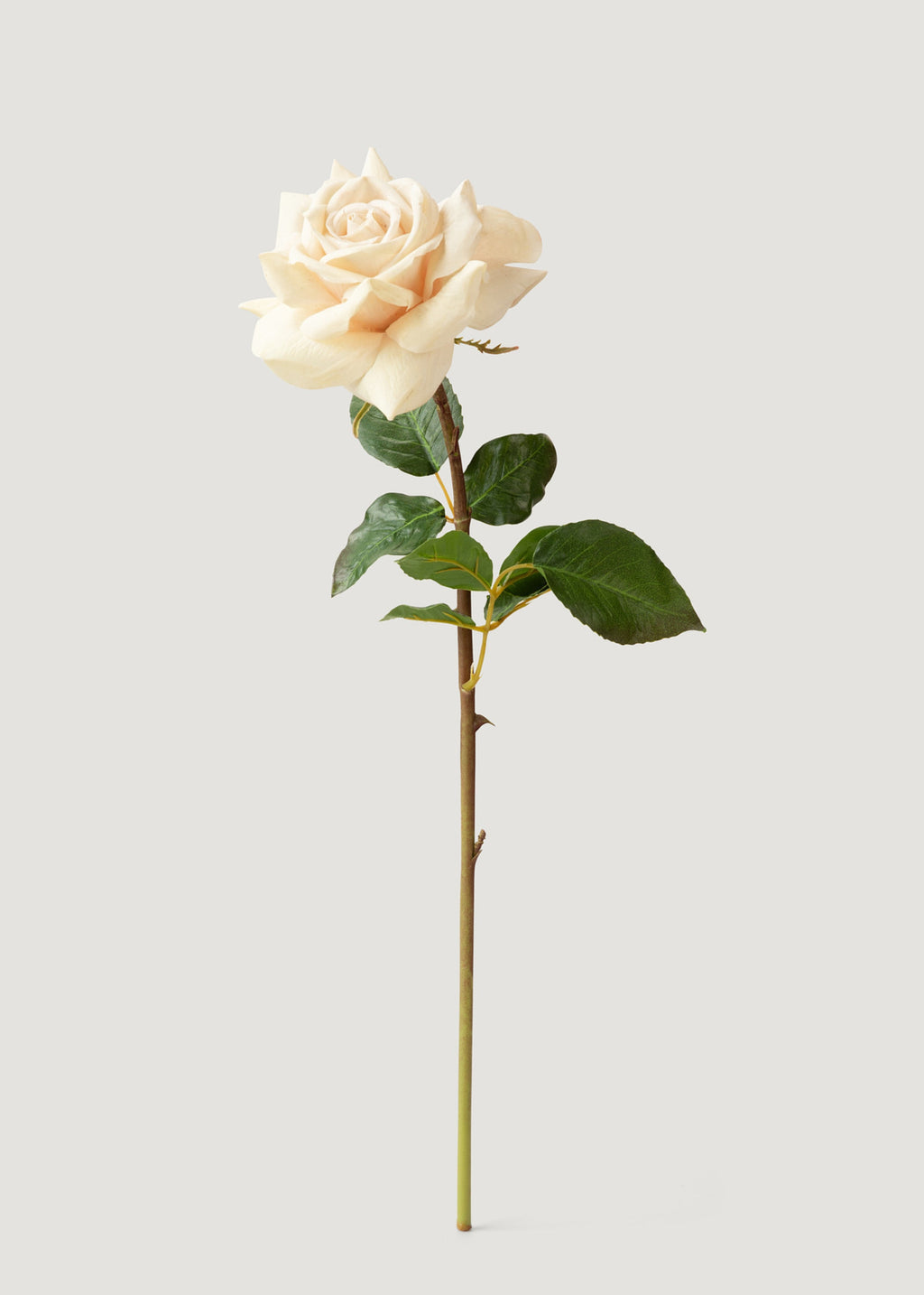 Beige Real Touch Duchess Rose Fake Flower - 20"