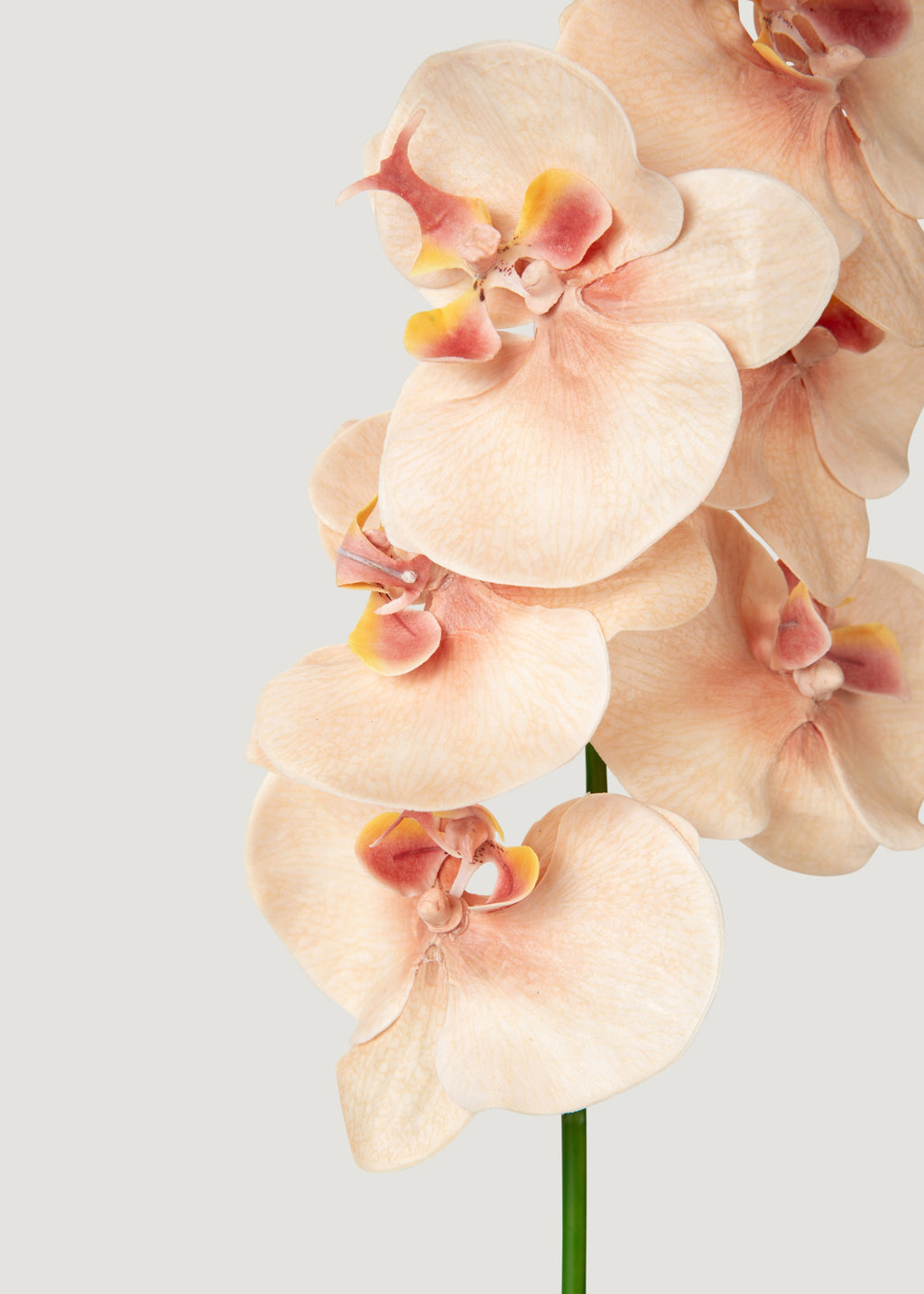 Fake Blooming Phalaenopsis Orchids in Peach Pink - 40"