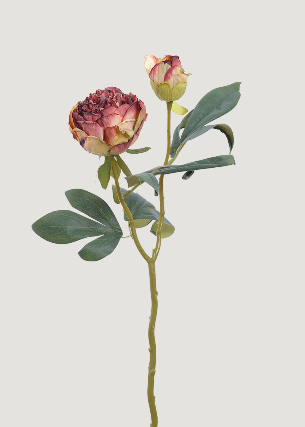 Burgundy Artificial Petite Peony Flower - 19"