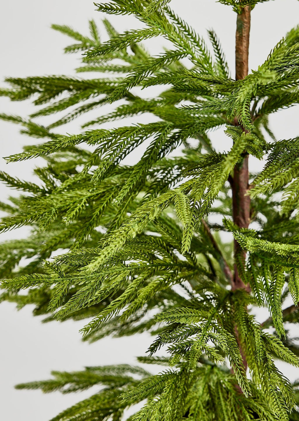 Afloral™ Artificial Norfolk Pine Tree - 36"