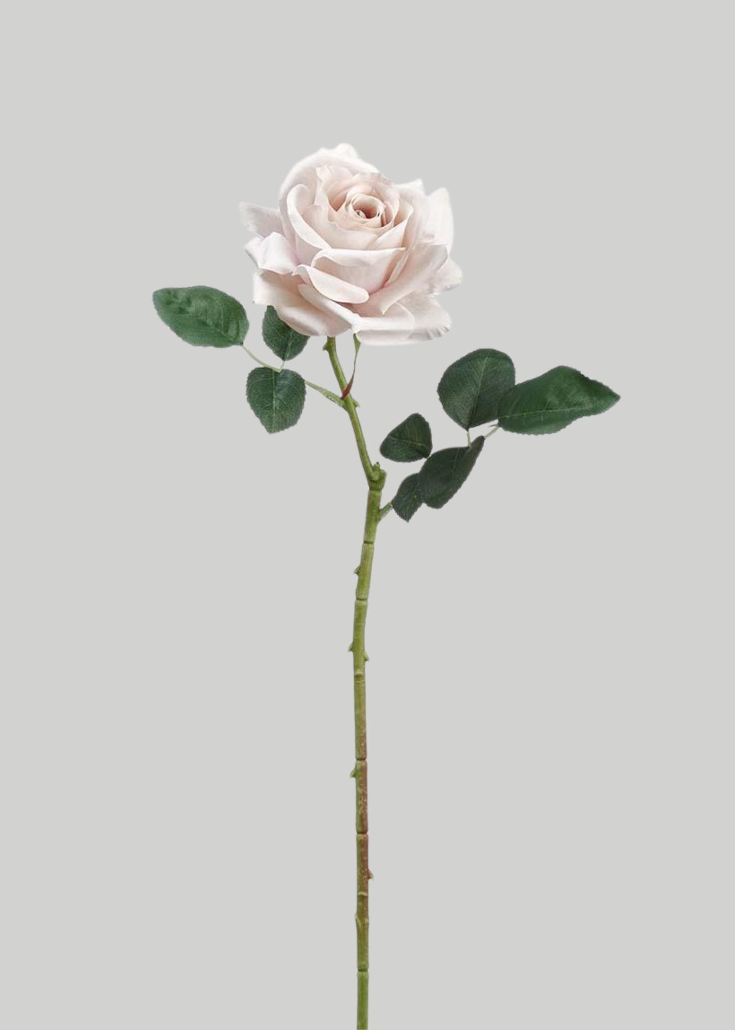 Artificial Curly Rose Stem in Taupe - 24.25"