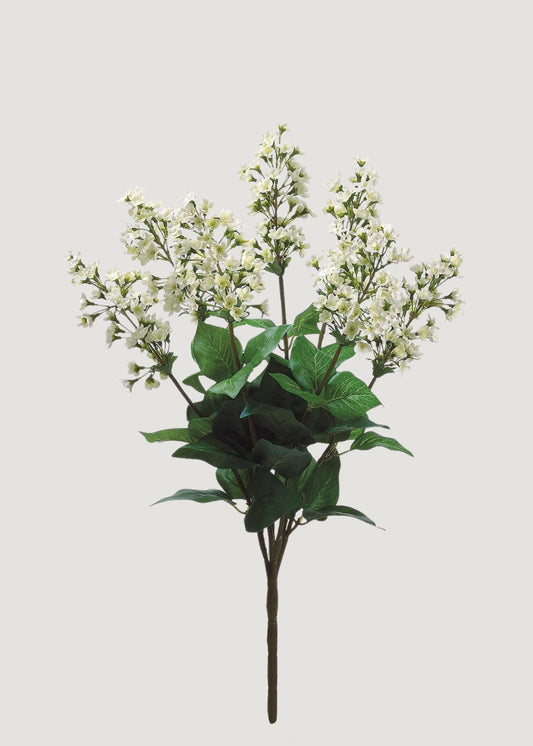 Artificial Bouvardia Flower Bush in Cream - 23"