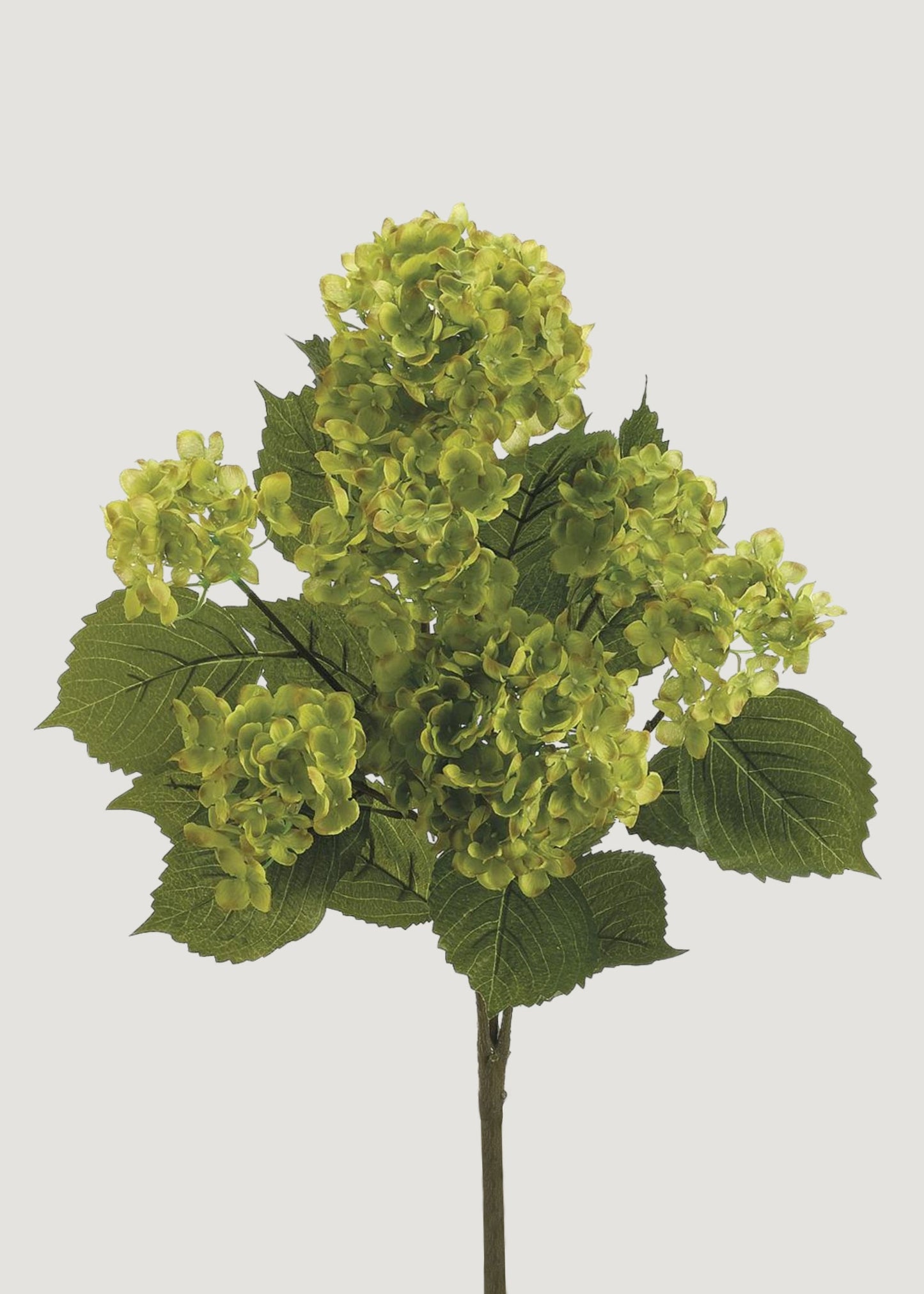 Green Blooming Artificial Hydrangea Bush - 22"