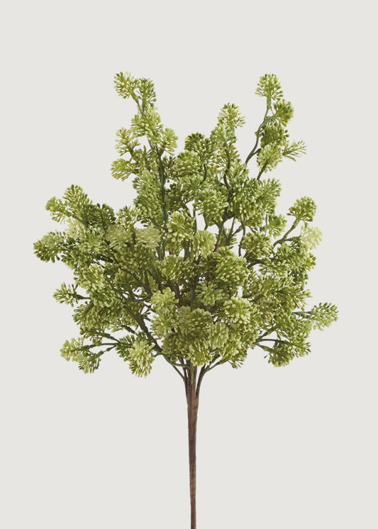 Artificial Sedum Succulent Bush in Green Cream - 19"