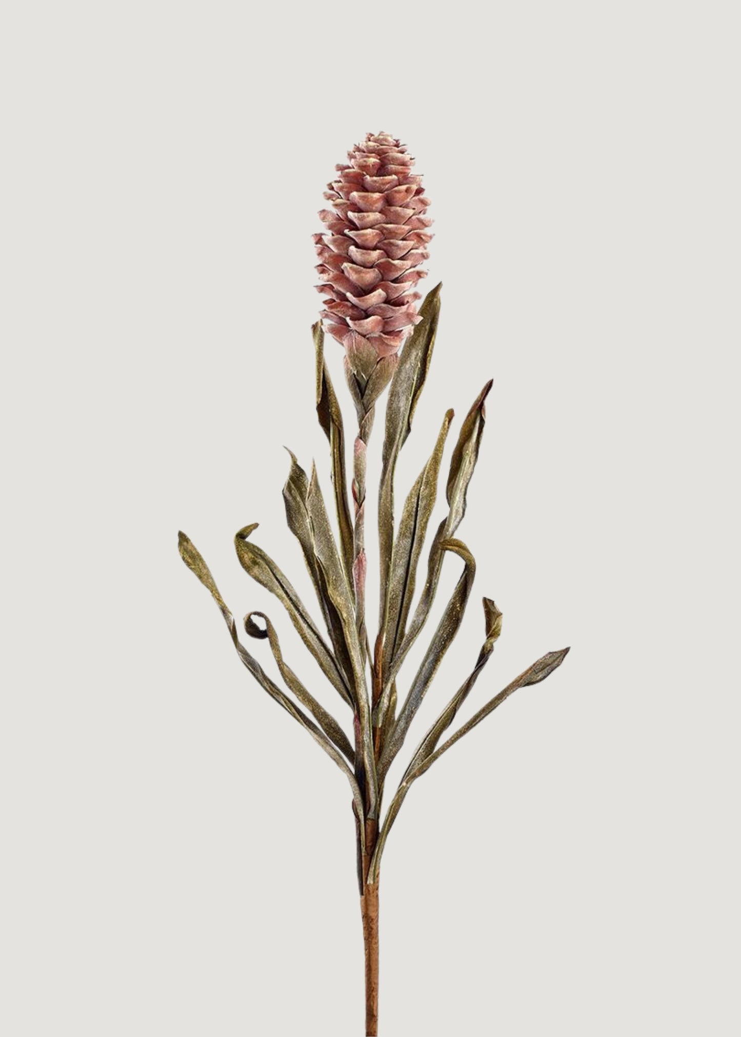 Dried Look Tropical Ginger Fake Flower in Earthy Brown - 33.5"