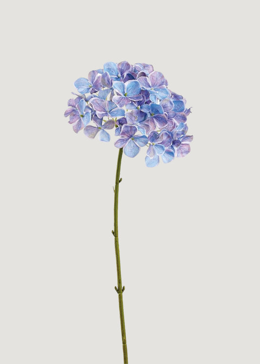 Fake Hydrangea Flower in Blue Watercolor Palette - 24.5"