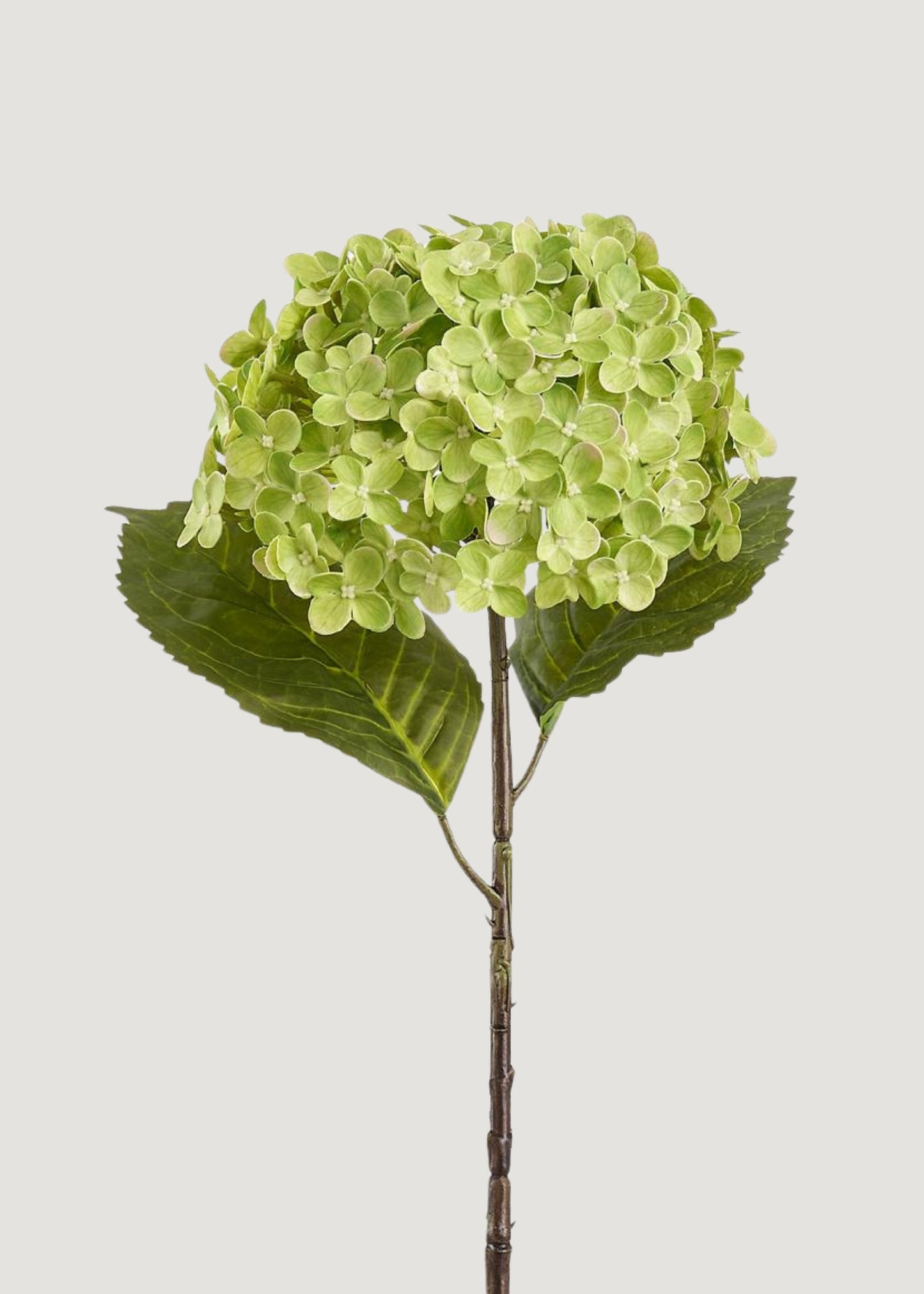 Artificial Hydrangea Flower in Green - 24.5"