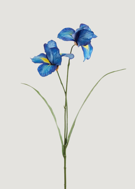 Artificial Wild Iris Flowers in Blue and Yellow - 22.5"