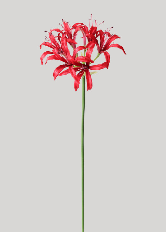 Red Nerine Spider Lily Artificial Flower - 29"