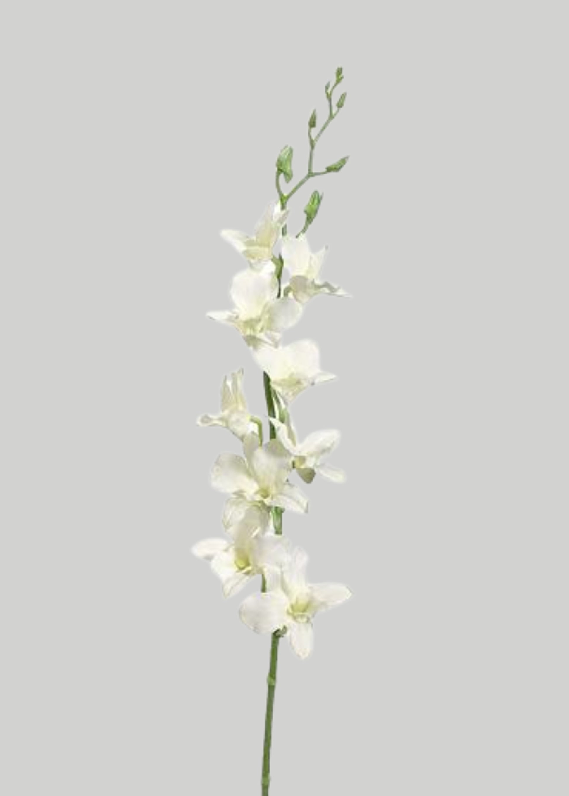 Cream Artificial Dendrobium Orchid Flower Branch - 35.5"