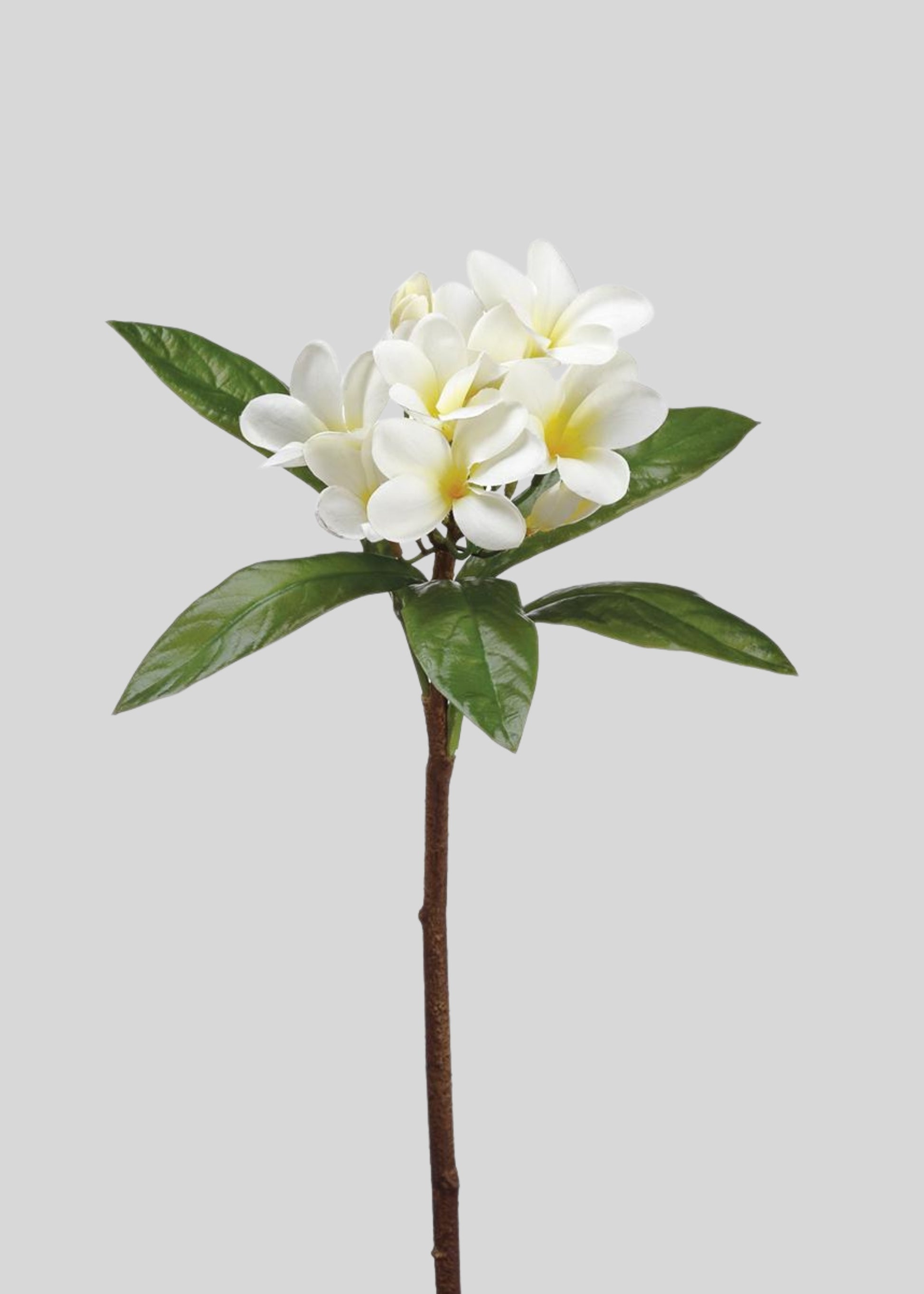Tropical Plumeria Artificial Flowers in Cream Yellow - 22"