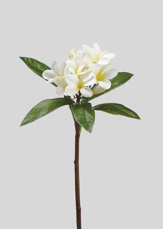 Tropical Plumeria Artificial Flowers in Cream Yellow - 22"