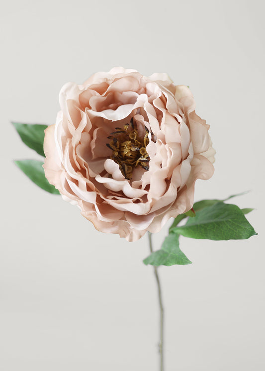 Artificial Peony Flower in Mauve Beige - 18.5"
