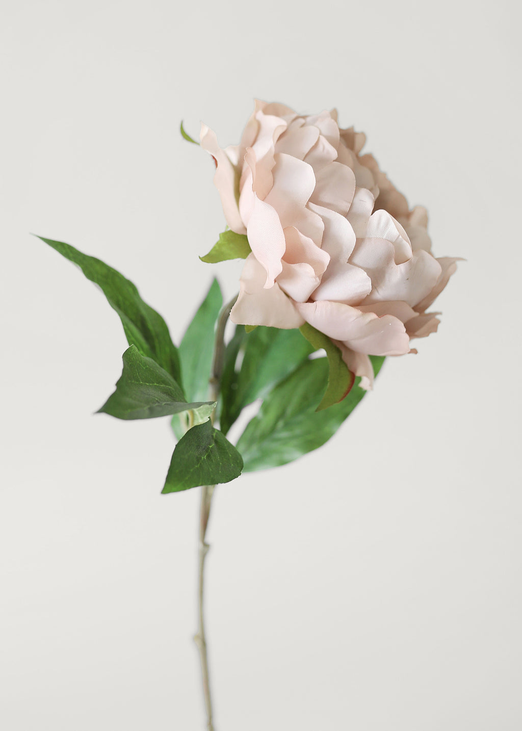 Artificial Peony Flower in Mauve Beige - 18.5"