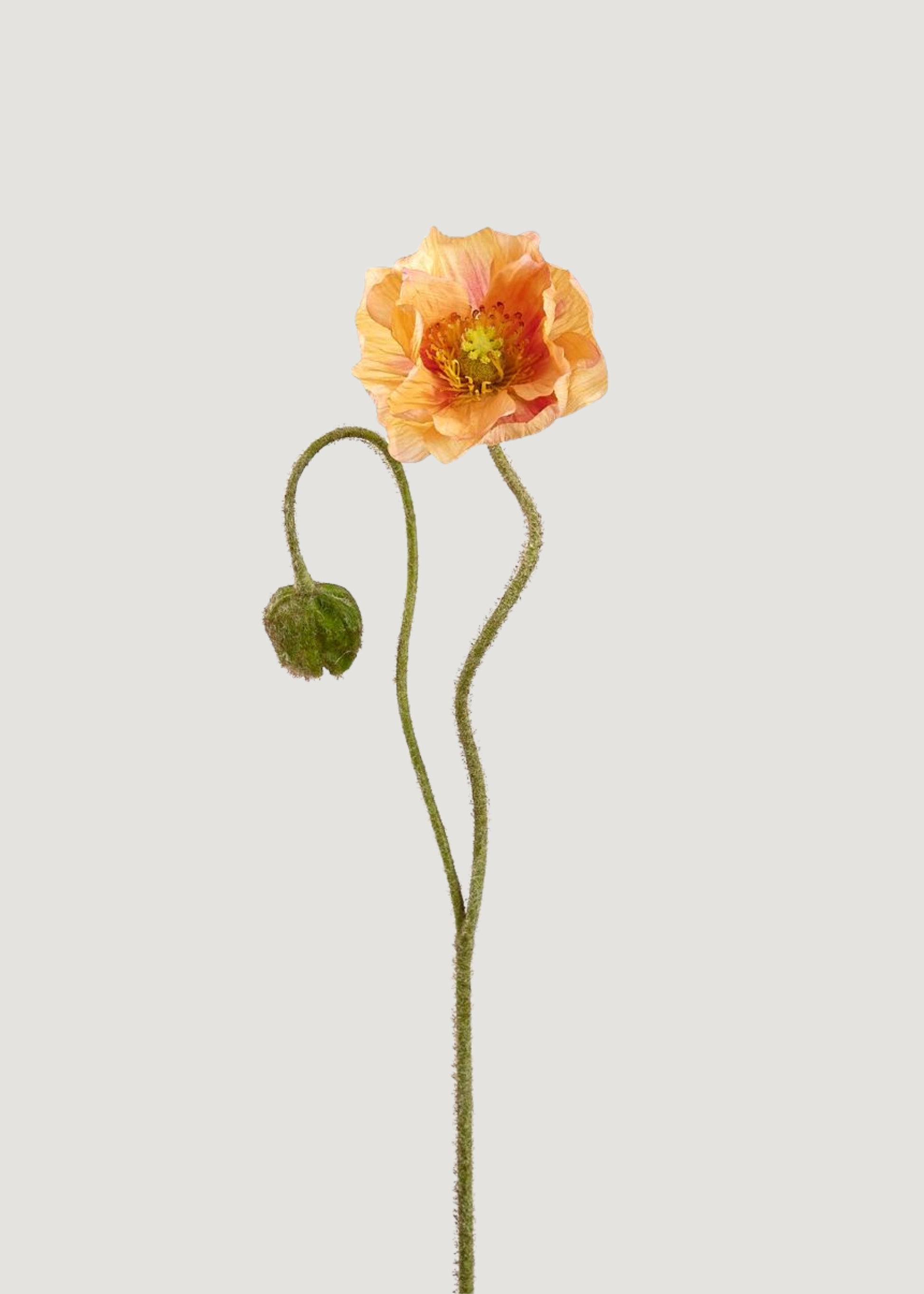 Coral Artificial Poppy Flower Stem - 31"