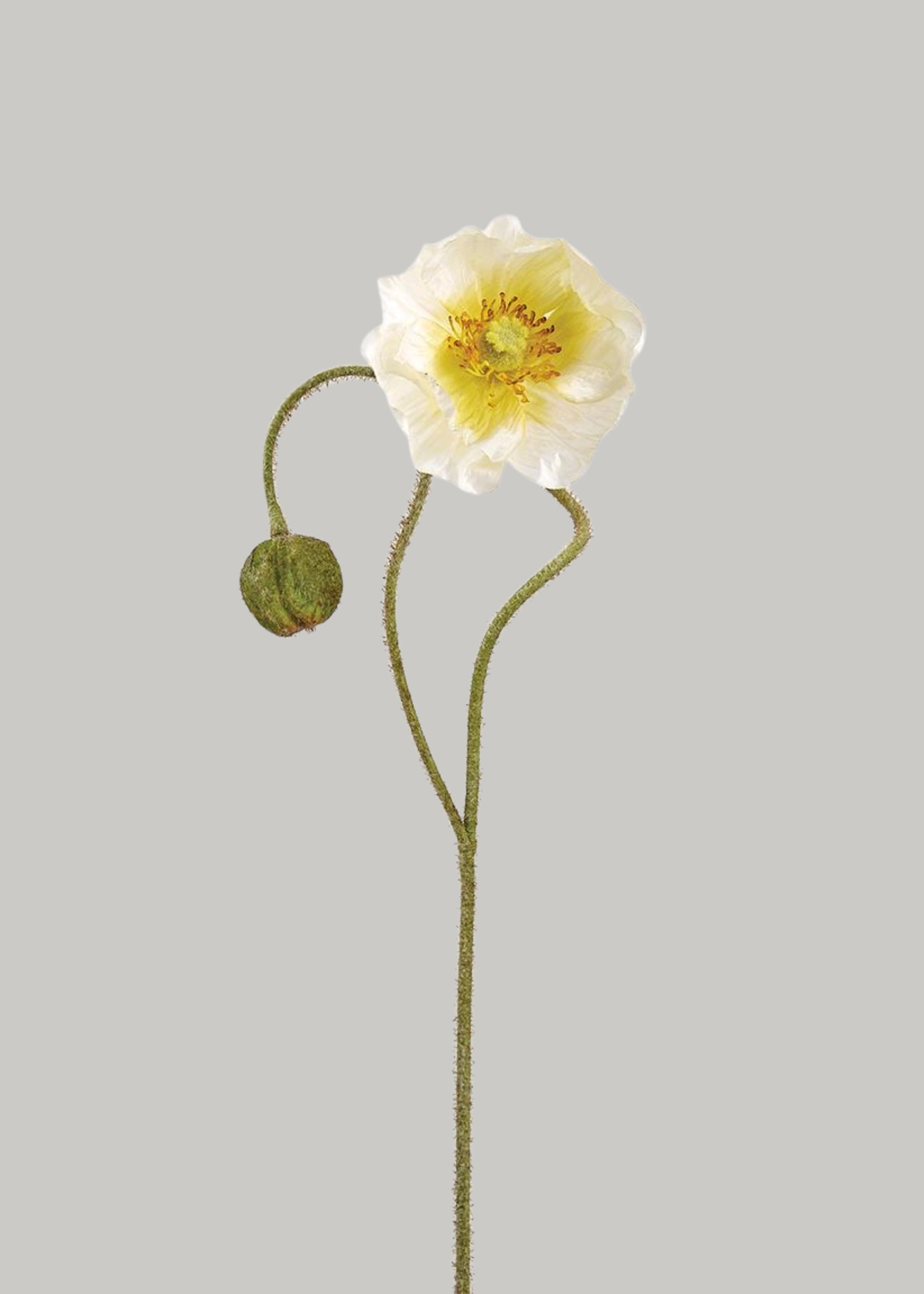Artificial Poppy Flower Stem in Cream - 31"