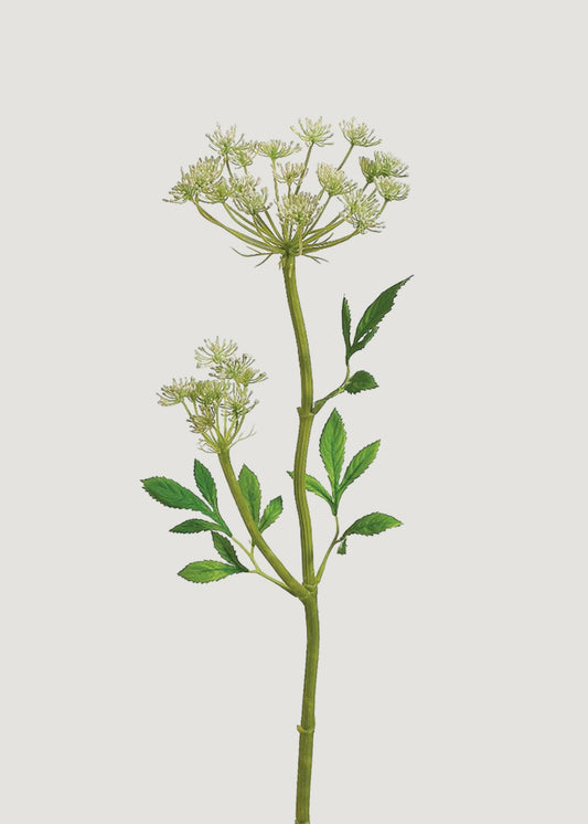 Artificial Queen Anne's Lace Wildflower Stem - 24"