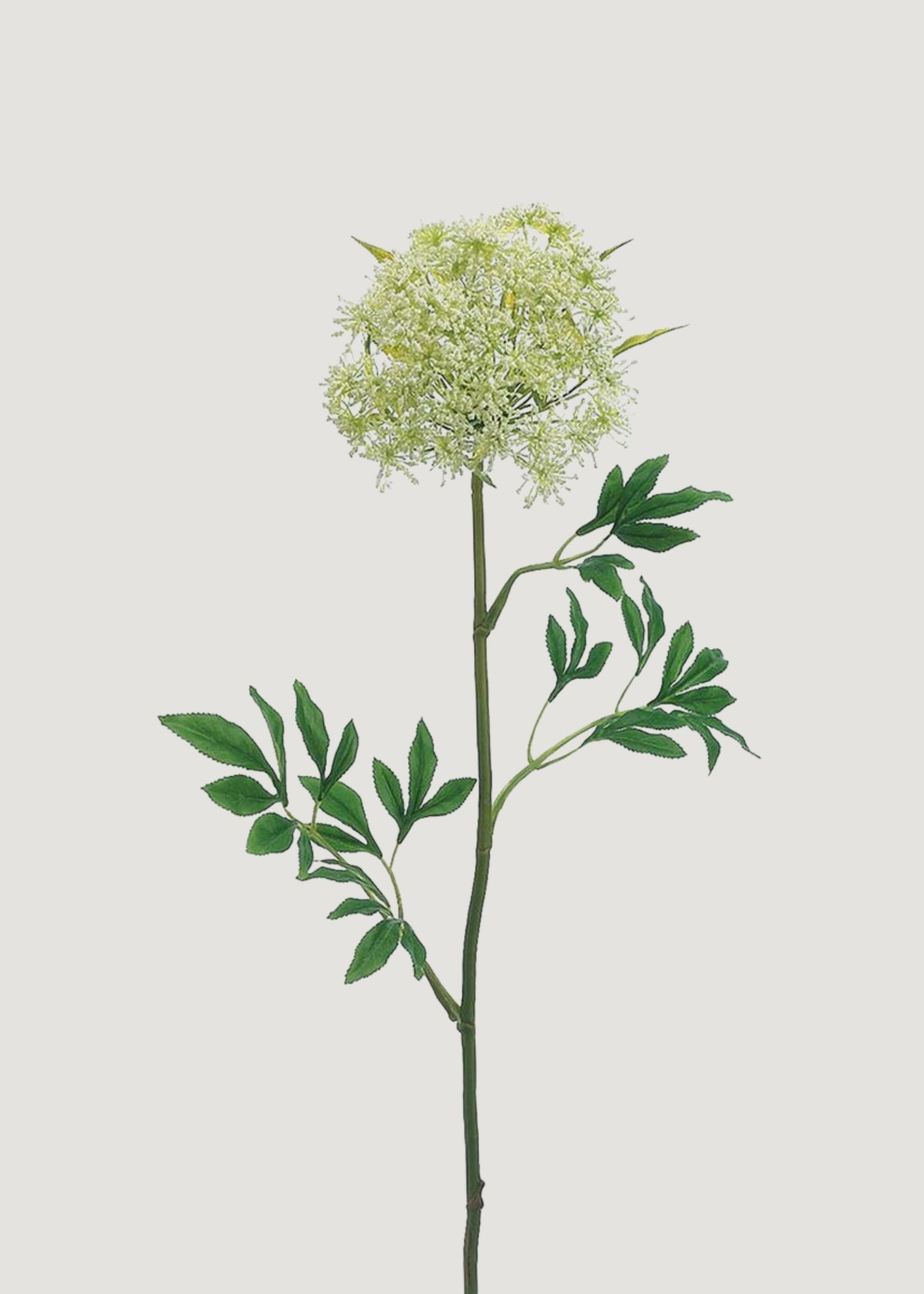 Tall Artificial Queen Anne's Lace Wildflower - 31"