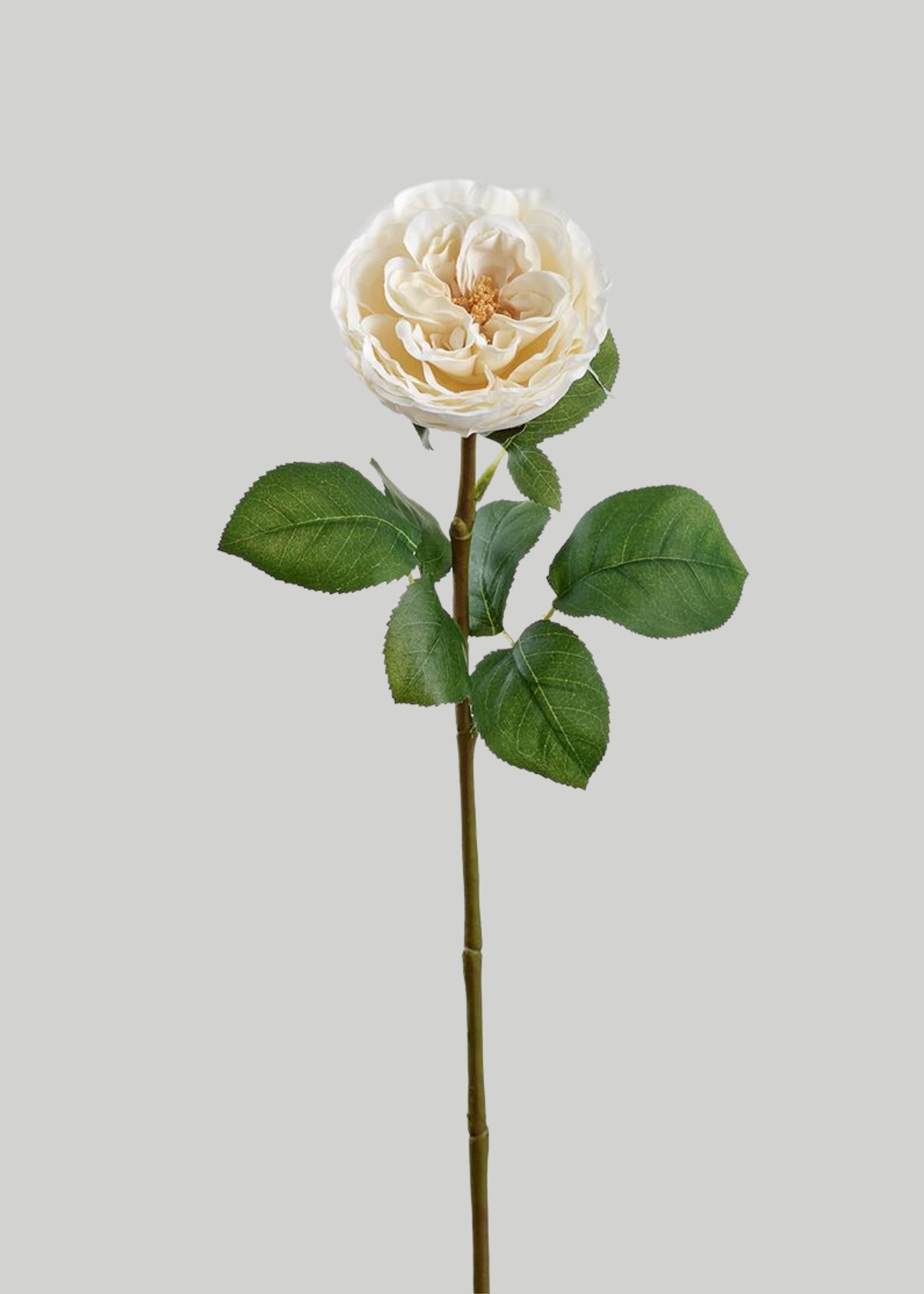 Fake Flower Rose in Cream - 26"