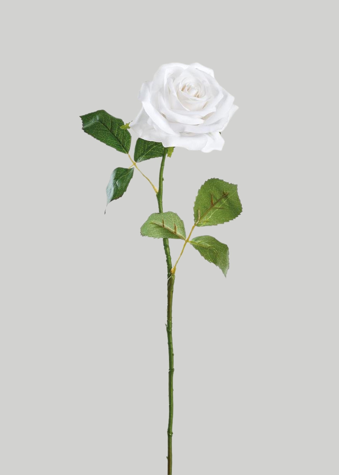 Real Touch Rose Artificial Flower in Cream White - 21.5"